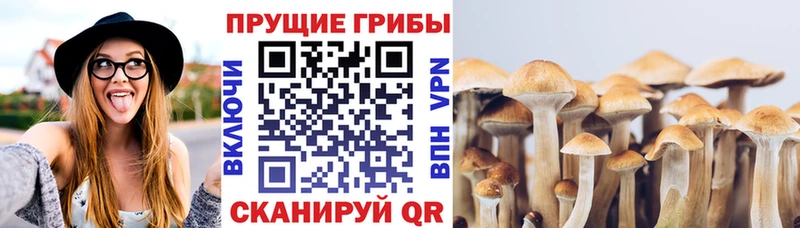 Псилоцибиновые грибы мицелий  Сибай 